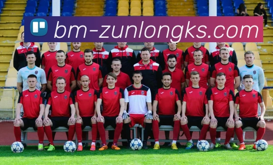 365体育官网APP 封面图